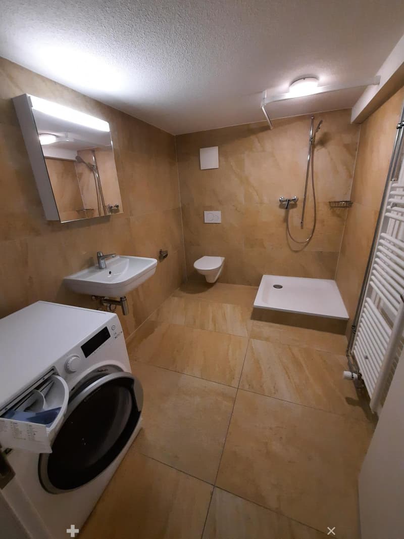 Wohnung im Zentrum von Biel mit eigenem Waschturm (7)