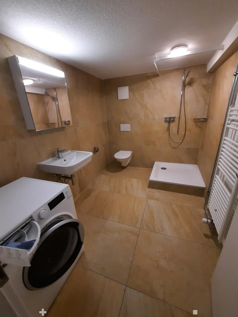 Wohnung im Zentrum von Biel mit eigenem Waschturm (7)