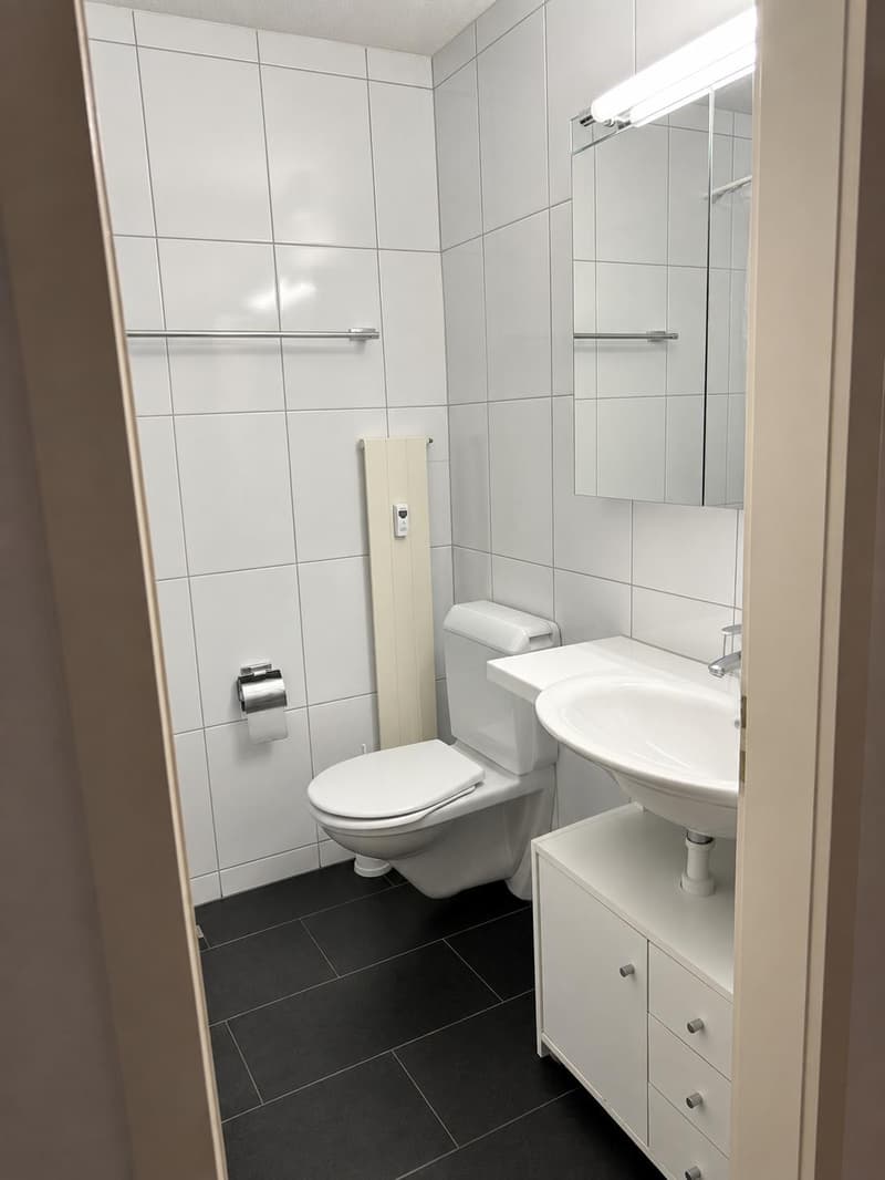 Charmante 2-Zimmerwohnung Mitten in der Stadt Bern (2)