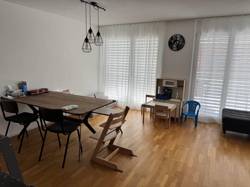 Grosszügige 5.5-Zimmer-Wohnung in familienfreundlichem Quartier (6)