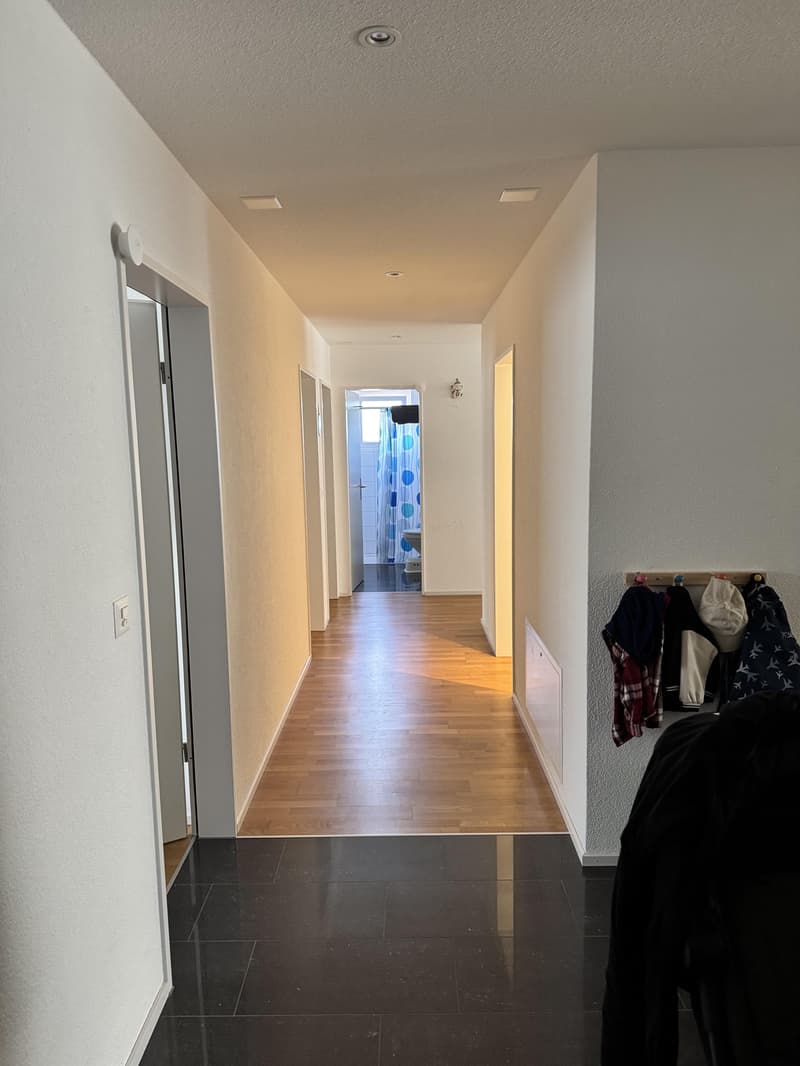 Grosszügige 5.5-Zimmer-Wohnung in familienfreundlichem Quartier (10)
