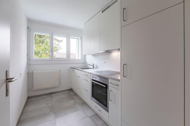 Moderne 3-Zimmerwohnung (1)