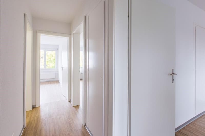 Moderne 3-Zimmerwohnung (3)