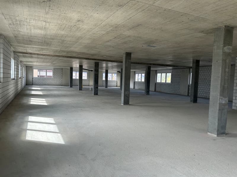 Neubau Gewerbe-/Büroräumlichkeiten nahe ÖV (8)