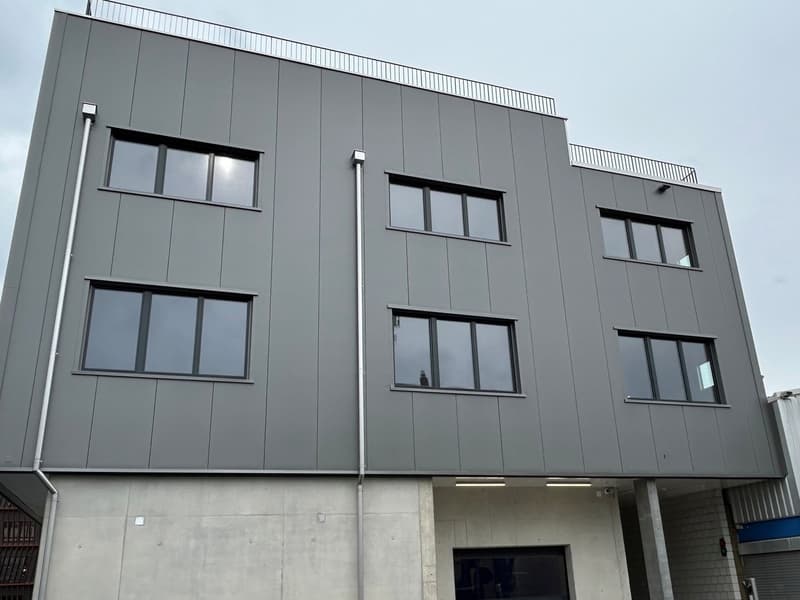 Neubau Gewerbe-/Büroräumlichkeiten nahe ÖV (3)