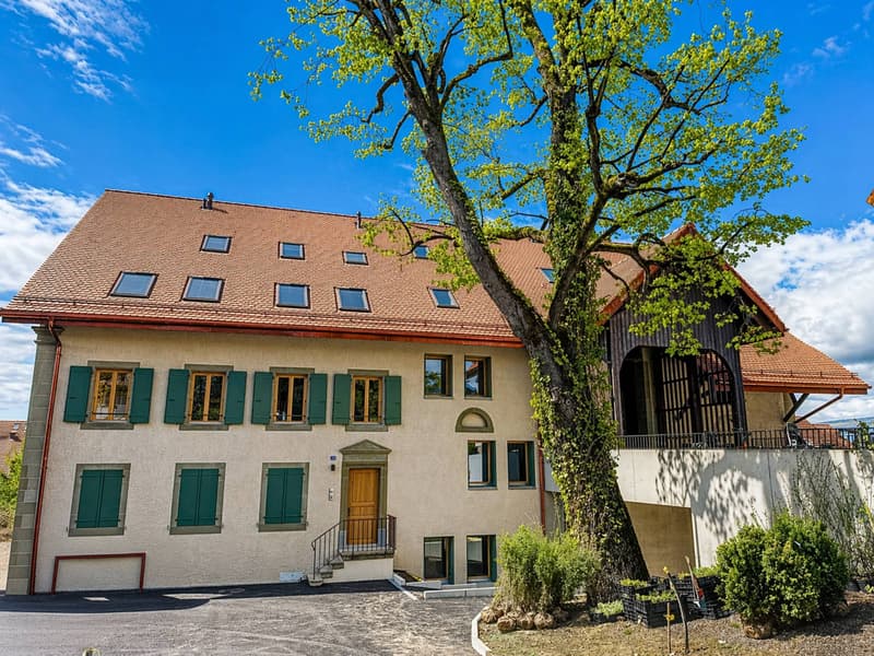 2.5 rooms new, immediate return & energy efficiency (La Ferme du Tilleul) (6)