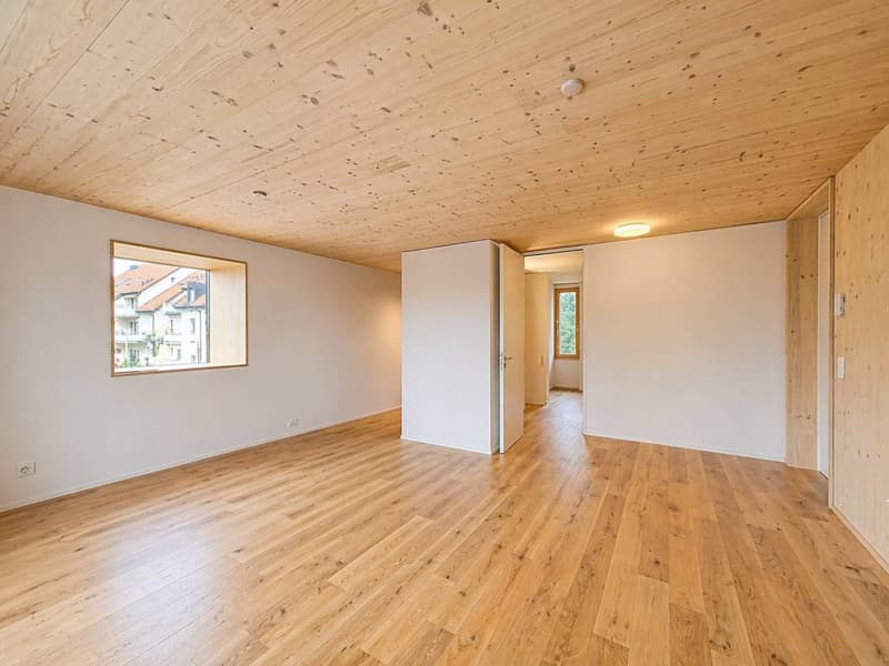 2.5 rooms new, immediate return & energy efficiency (La Ferme du Tilleul) (4)