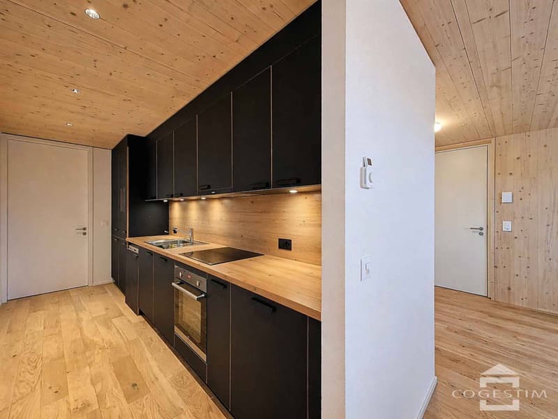 2.5 rooms new, immediate return & energy efficiency (La Ferme du Tilleul) (5)