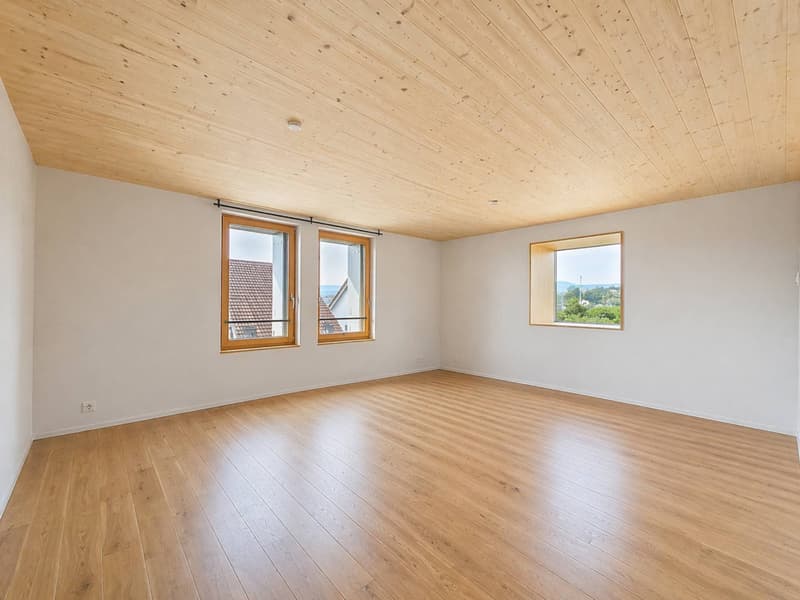 2.5 rooms new, immediate return & energy efficiency (La Ferme du Tilleul) (3)