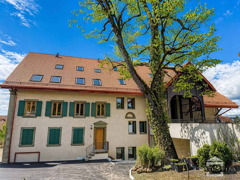 2.5 rooms new, immediate return & energy efficiency (La Ferme du Tilleul) (11)