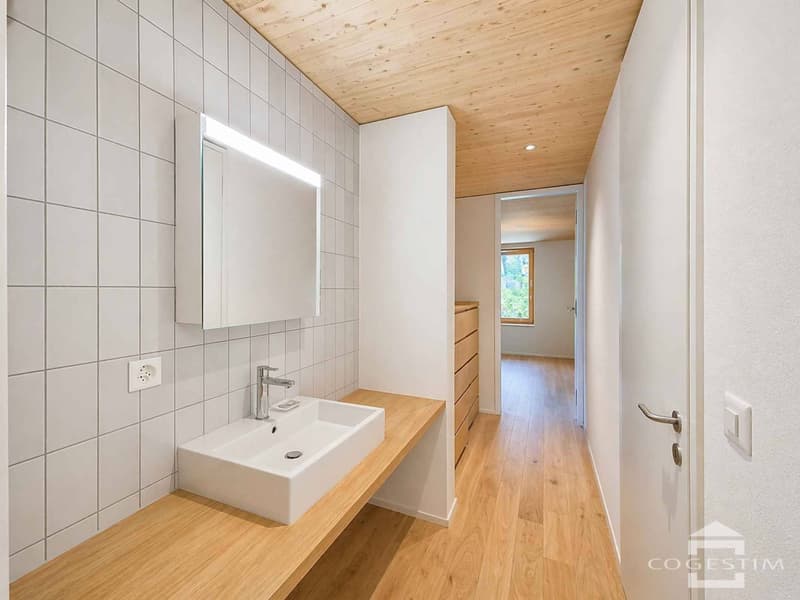 2.5 rooms new, immediate return & energy efficiency (La Ferme du Tilleul) (9)
