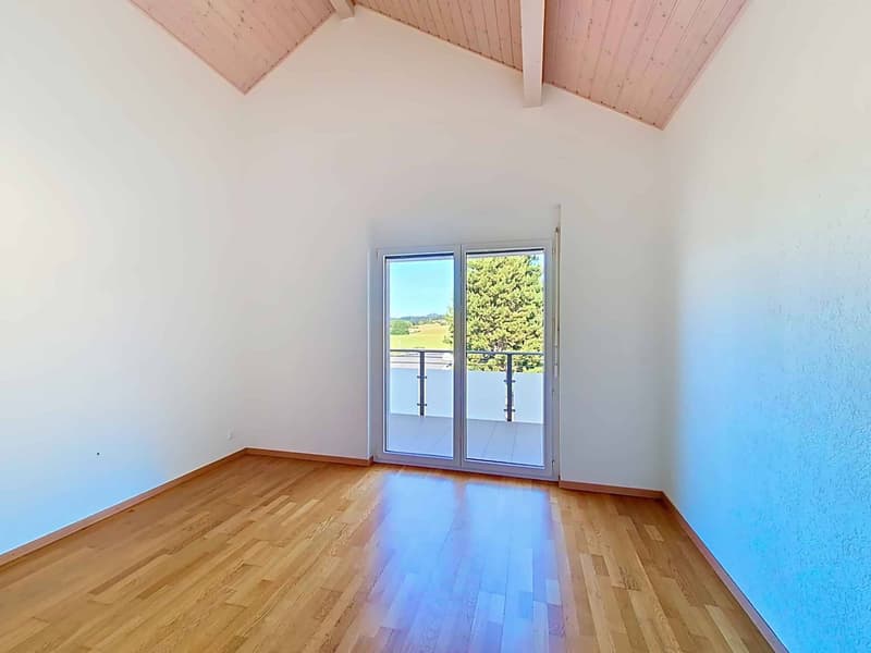 4.5 room bright apartment with large terrace (5)