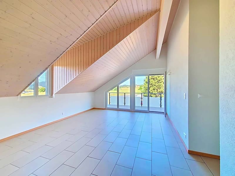 4.5 room bright apartment with large terrace (1)