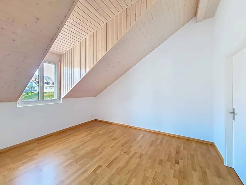 4.5 room bright apartment with large terrace (3)