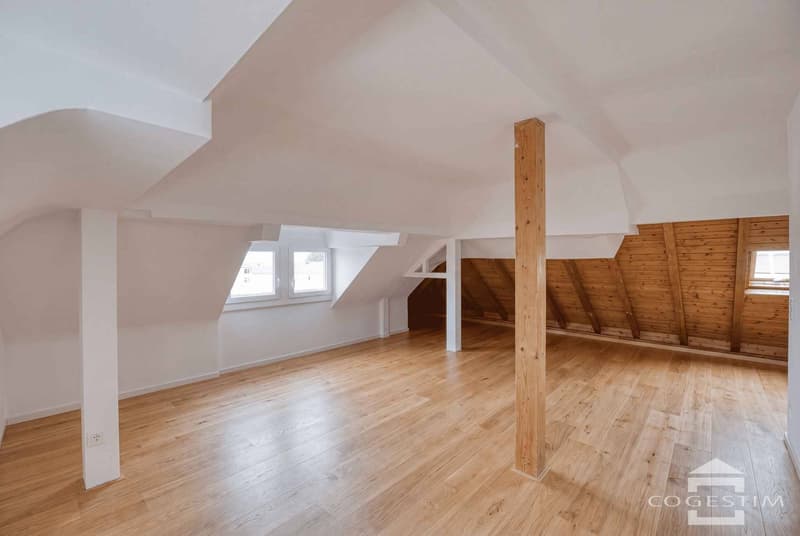 Dachboden zur Einrichtung mit Potenzial für die Schaffung einer Wohnung mit Aussicht (1)
