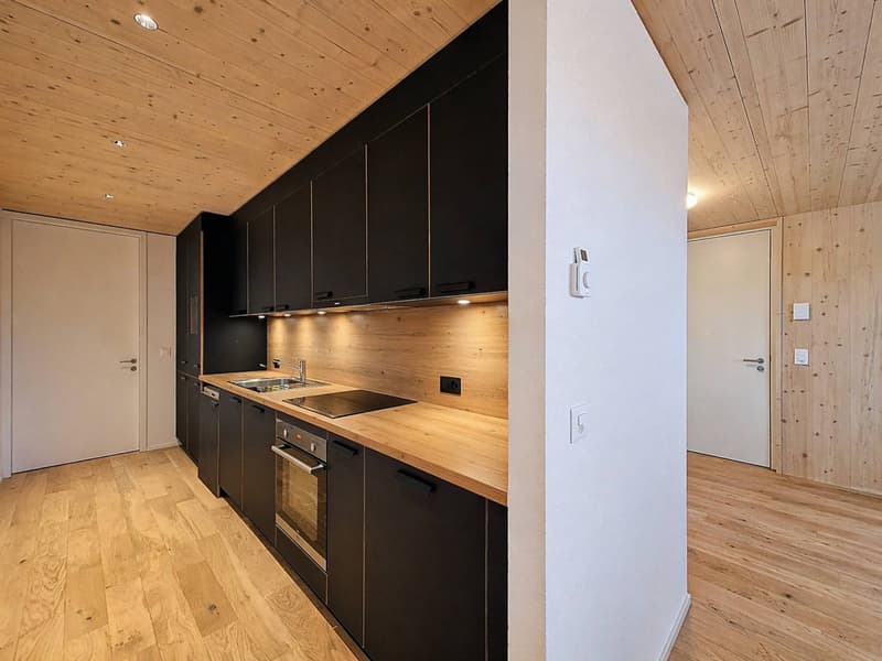 La Ferme du Tilleul  2.5 pièces de caractère (4)