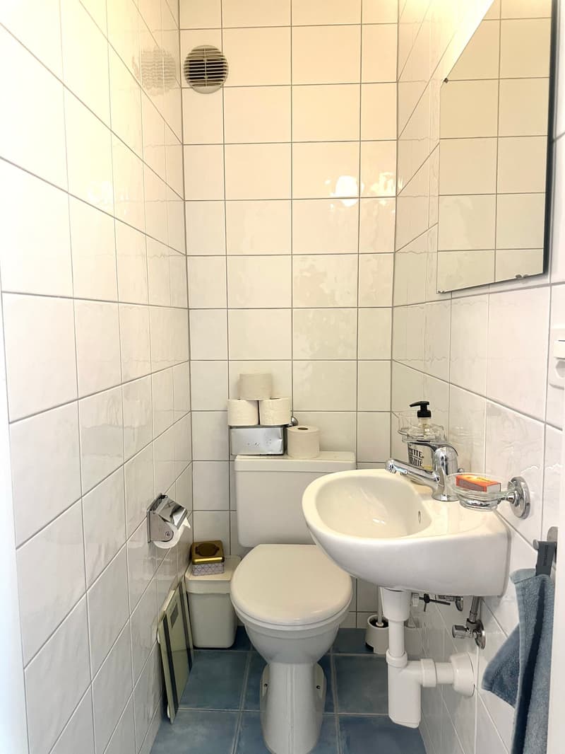 Charmante 3-Zimmer-Altbauwohnung mit Balkon in Basel-Gundeldingen (7)
