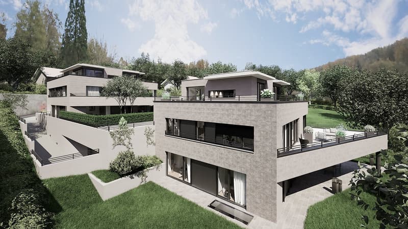 Neubau-Maisonette Attikawohnung mit Aussicht (2)