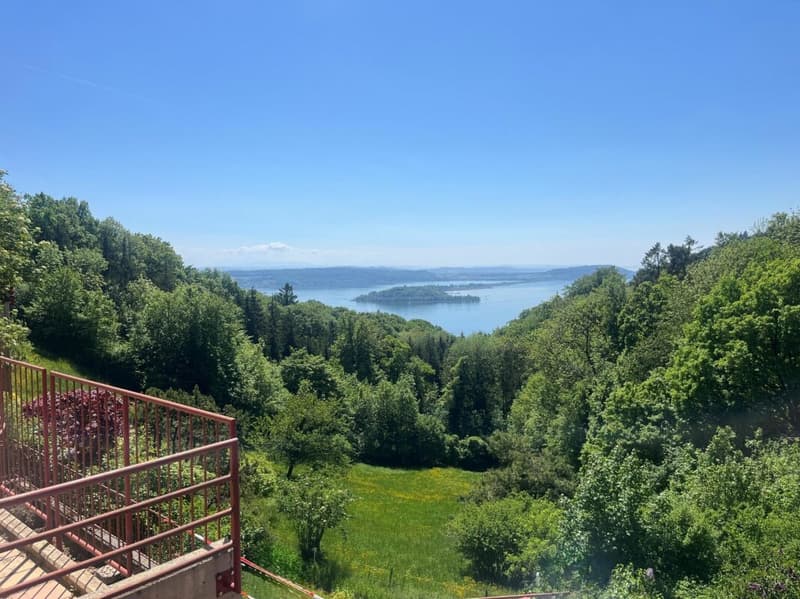 6.5-room (holiday) apartment with lake view - Your oasis on Lake Biel! (13)