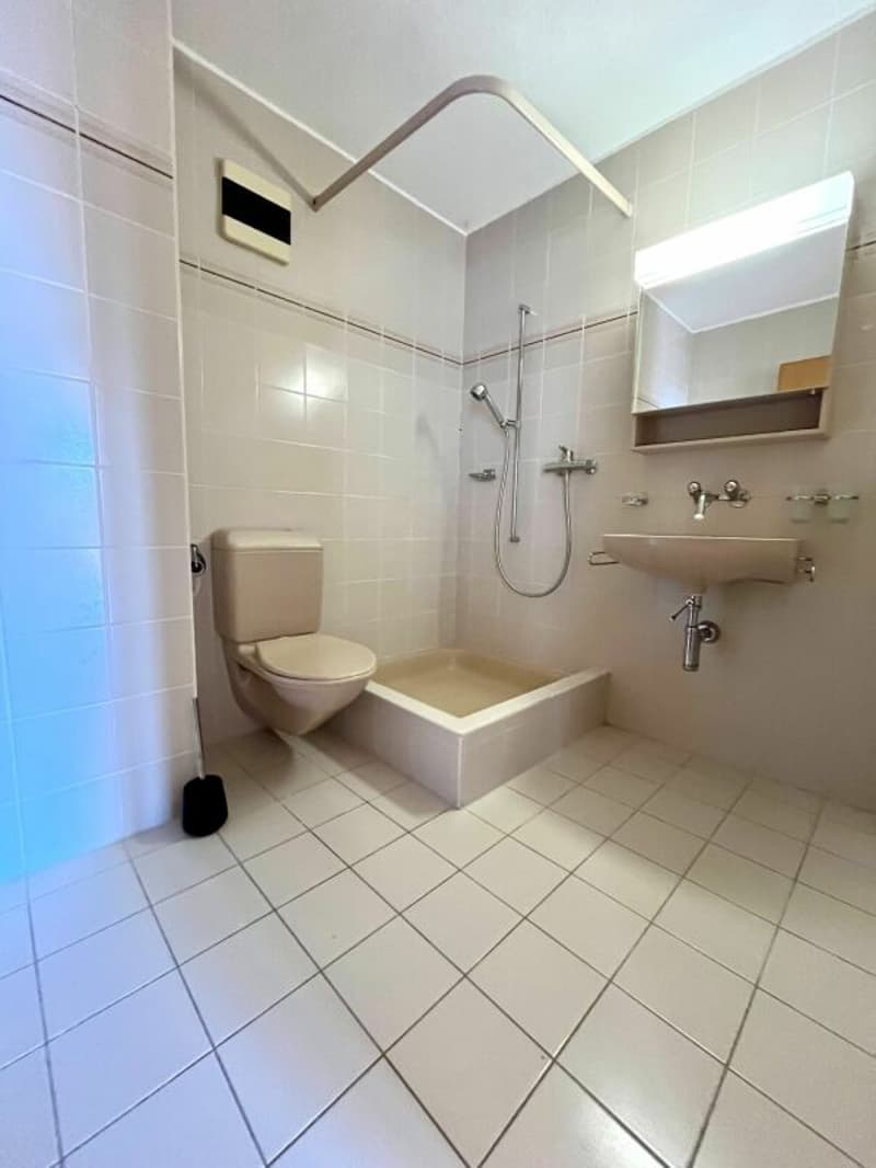 6.5-room (holiday) apartment with lake view - Your oasis on Lake Biel! (11)