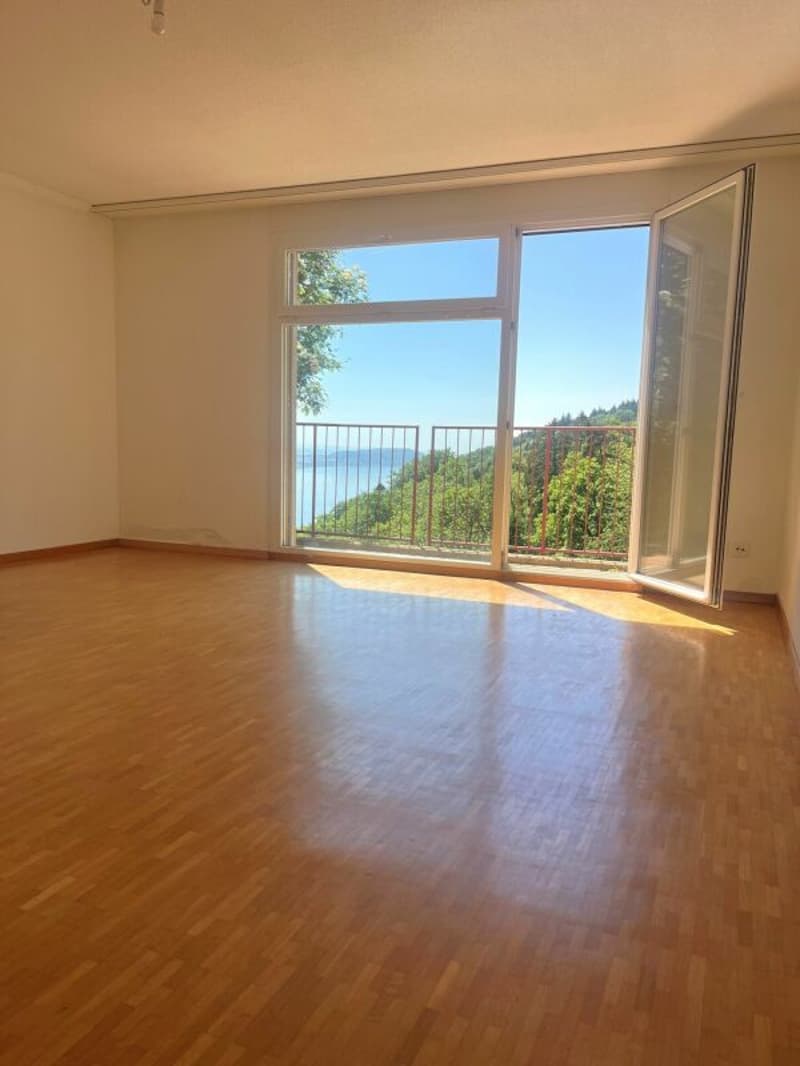 6.5-room (holiday) apartment with lake view - Your oasis on Lake Biel! (8)