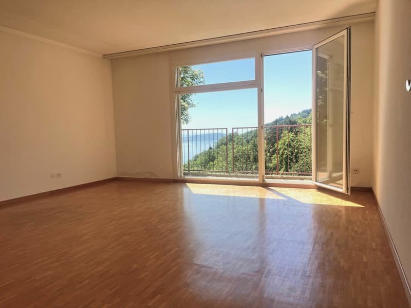6.5-room (holiday) apartment with lake view - Your oasis on Lake Biel! (6)