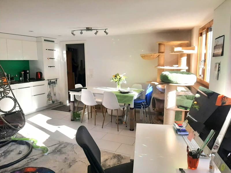 Einliegerwohnung / 1,5-Zimmer-Studio