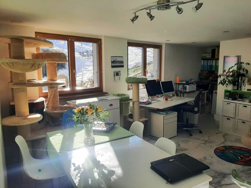 Gepflegtes 6-Zimmer-EFH inklusive Einliegerwohnung an traumhafter Lage in Schwarzsee FR (10)