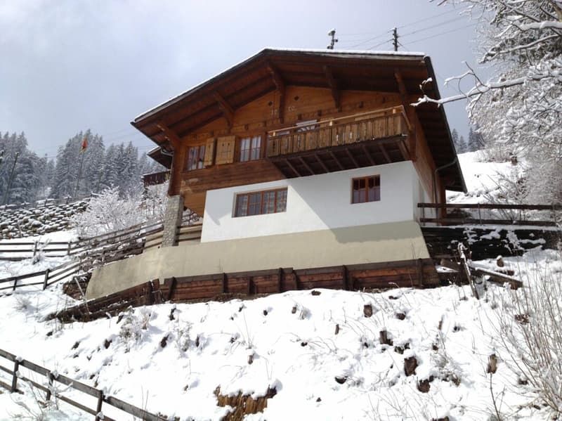 Cozy 4.5-room chalet with breathtaking views in Adelboden BE (19)