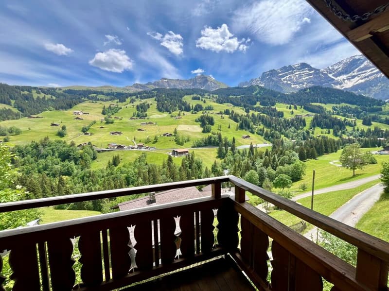 Cozy 4.5-room chalet with breathtaking views in Adelboden BE (2)