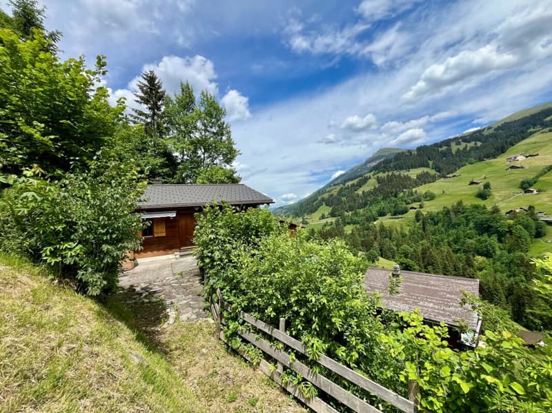 Cozy 4.5-room chalet with breathtaking views in Adelboden BE (15)