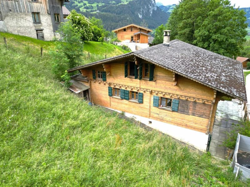Grand chalet de 7 pièces avec annexe et vue panoramique magnifique à Château-d'Oex VD (13)
