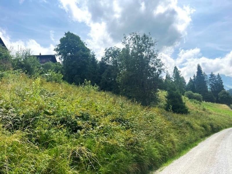 Grand terrain constructible de 906 m² situé en hauteur à Plaffeien FR (6)