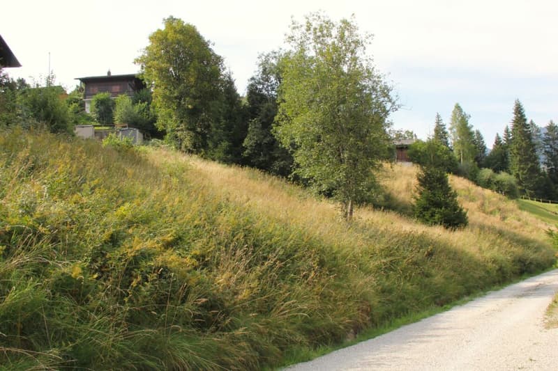Grand terrain constructible de 906 m² situé en hauteur à Plaffeien FR (8)