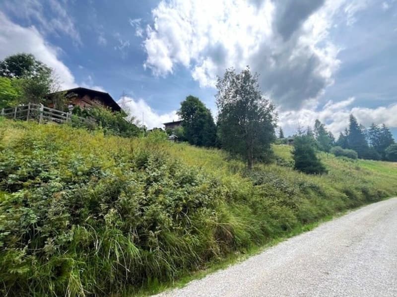 Grand terrain constructible de 906 m² situé en hauteur à Plaffeien FR (1)