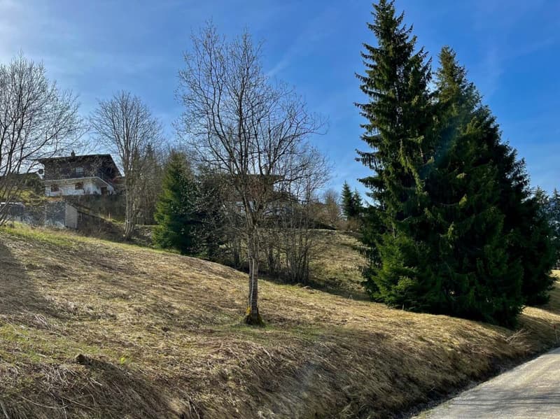 Grand terrain constructible de 906 m² situé en hauteur à Plaffeien FR (4)