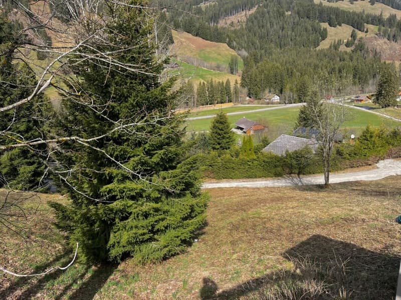Grand terrain constructible de 906 m² situé en hauteur à Plaffeien FR (7)