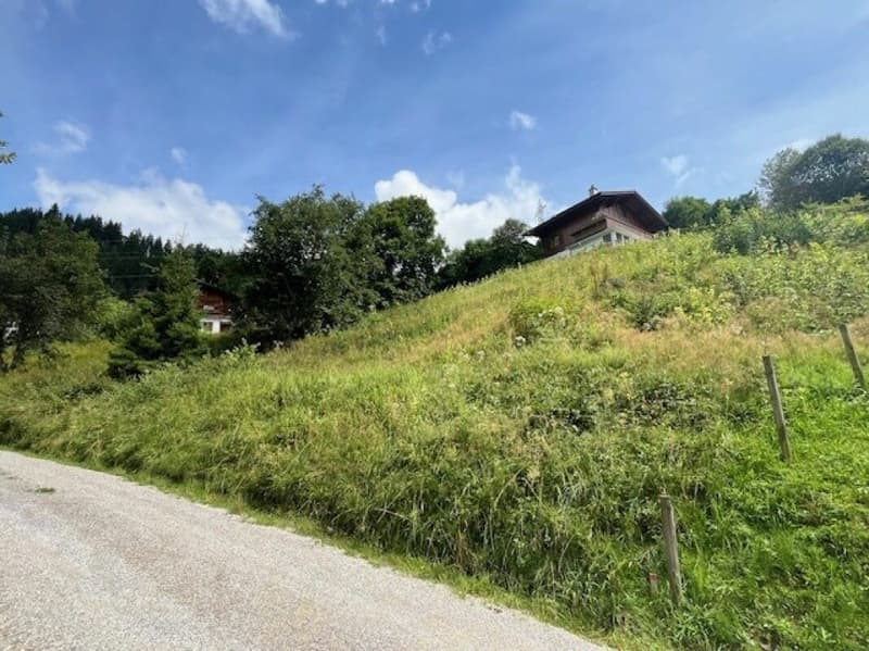 Grand terrain constructible de 906 m² situé en hauteur à Plaffeien FR (2)