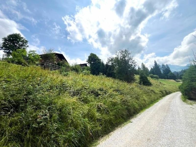 Grand terrain constructible de 906 m² situé en hauteur à Plaffeien FR (3)