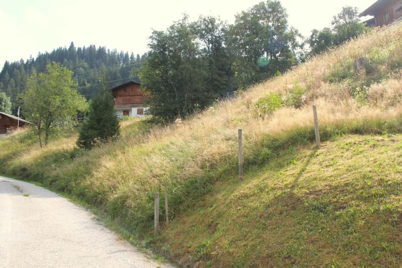 Attractive chalet in an elevated location in Plaffeien, Schwarzsee FR (7)