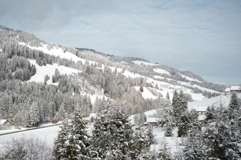 Attractive chalet in an elevated location in Plaffeien, Schwarzsee FR (10)