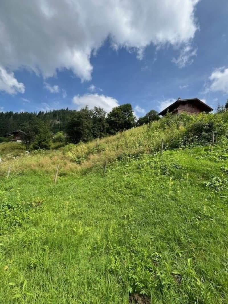 Land for sale in an elevated location in Plaffeien FR - Schwarzsee (8)
