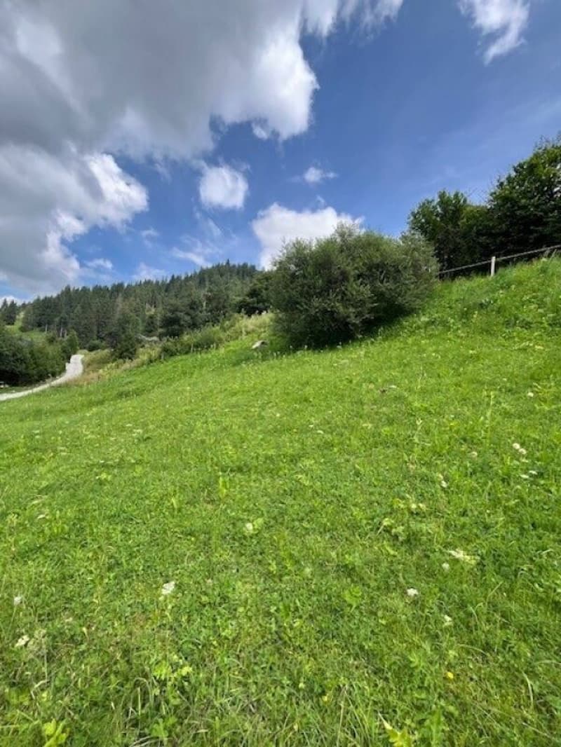 Land for sale in an elevated location in Plaffeien FR - Schwarzsee (7)