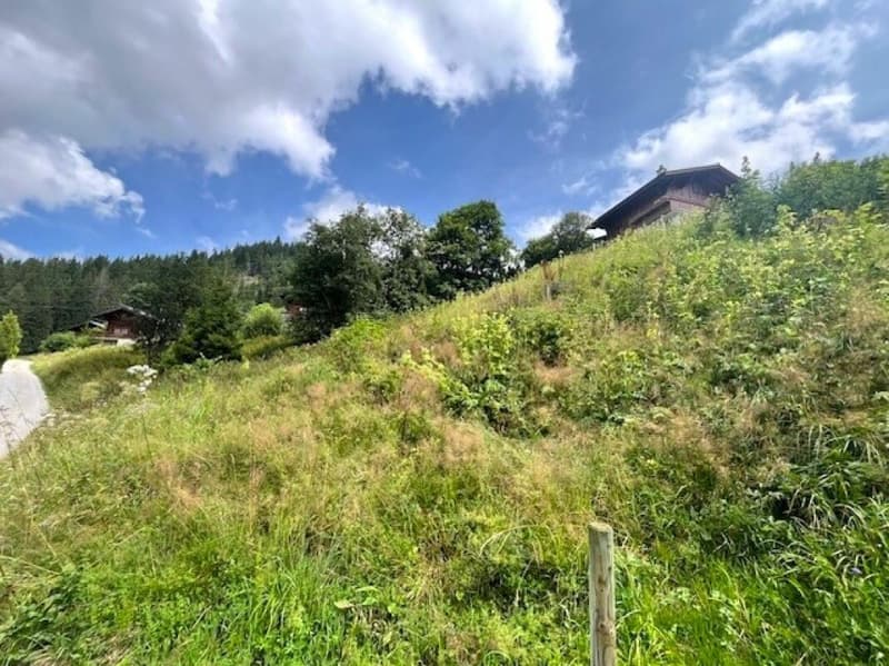 Land for sale in an elevated location in Plaffeien FR - Schwarzsee (11)