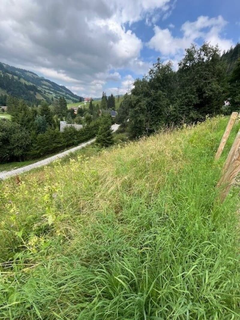 Land for sale in an elevated location in Plaffeien FR - Schwarzsee (5)
