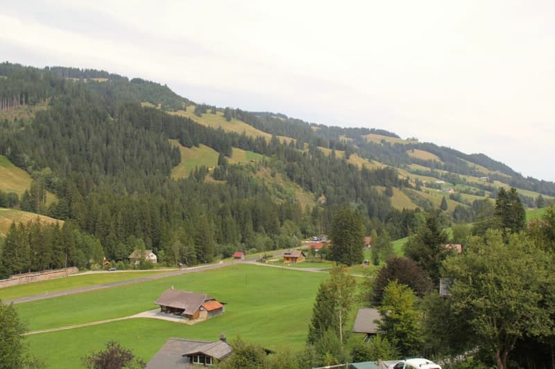 Land for sale in an elevated location in Plaffeien FR - Schwarzsee (2)