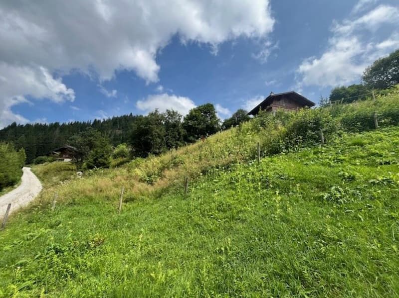 Land for sale in an elevated location in Plaffeien FR - Schwarzsee (4)