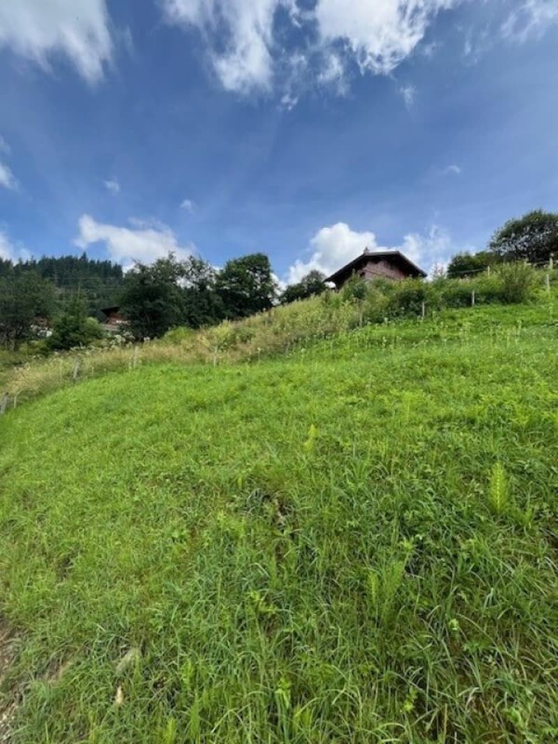 Land for sale in an elevated location in Plaffeien FR - Schwarzsee (6)
