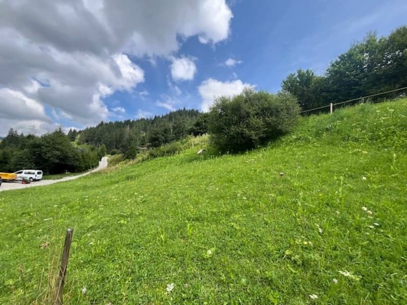 Land for sale in an elevated location in Plaffeien FR - Schwarzsee (3)