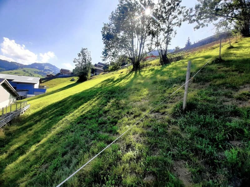 Teilerschlossenes Bauland an sonniger Hanglage in Zweisimmen BE (2)
